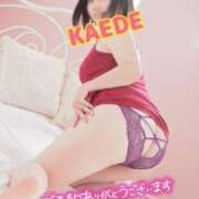 ヒメ日記 2025/07/25 12:24 投稿 かえで スイカ