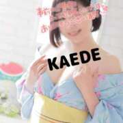 ヒメ日記 2025/07/25 20:22 投稿 かえで スイカ