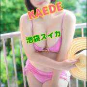 ヒメ日記 2025/07/26 09:49 投稿 かえで スイカ