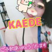 ヒメ日記 2025/07/26 10:34 投稿 かえで スイカ