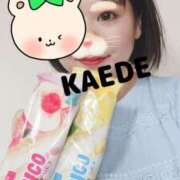 ヒメ日記 2025/07/28 17:58 投稿 かえで スイカ