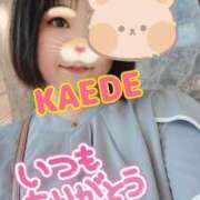 ヒメ日記 2025/07/29 20:08 投稿 かえで スイカ