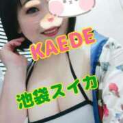 ヒメ日記 2025/07/31 23:08 投稿 かえで スイカ