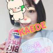 ヒメ日記 2025/08/01 11:53 投稿 かえで スイカ