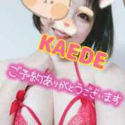 ヒメ日記 2025/08/02 11:25 投稿 かえで スイカ