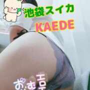 ヒメ日記 2025/08/07 16:14 投稿 かえで スイカ