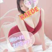 ヒメ日記 2025/08/08 09:28 投稿 かえで スイカ