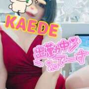 ヒメ日記 2025/08/09 15:29 投稿 かえで スイカ