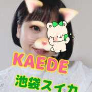 ヒメ日記 2025/08/10 18:25 投稿 かえで スイカ