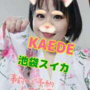 ヒメ日記 2025/08/13 18:24 投稿 かえで スイカ