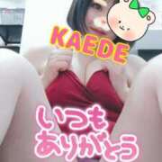 ヒメ日記 2025/08/14 13:59 投稿 かえで スイカ