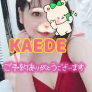 ヒメ日記 2025/08/15 13:23 投稿 かえで スイカ