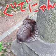 ヒメ日記 2025/08/19 15:16 投稿 かえで スイカ