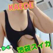 ヒメ日記 2025/08/25 17:32 投稿 かえで スイカ