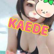 ヒメ日記 2025/08/29 10:19 投稿 かえで スイカ