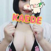 ヒメ日記 2025/08/30 12:47 投稿 かえで スイカ