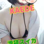 ヒメ日記 2025/09/02 22:19 投稿 かえで スイカ