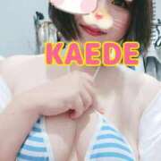 ヒメ日記 2025/09/06 13:00 投稿 かえで スイカ