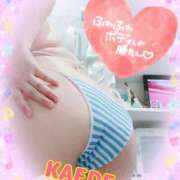 ヒメ日記 2025/09/08 18:39 投稿 かえで スイカ