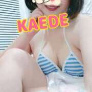 ヒメ日記 2025/09/08 22:26 投稿 かえで スイカ