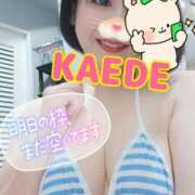 ヒメ日記 2025/09/12 11:23 投稿 かえで スイカ