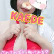 ヒメ日記 2025/09/13 13:45 投稿 かえで スイカ