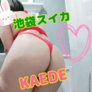 ヒメ日記 2025/09/14 21:58 投稿 かえで スイカ