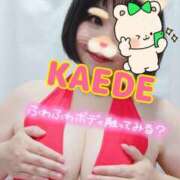 ヒメ日記 2025/09/16 23:06 投稿 かえで スイカ