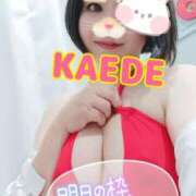 ヒメ日記 2025/09/19 14:06 投稿 かえで スイカ