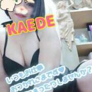 ヒメ日記 2025/09/19 19:01 投稿 かえで スイカ