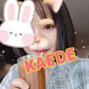 ヒメ日記 2025/09/24 13:51 投稿 かえで スイカ