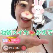 ヒメ日記 2025/09/26 13:32 投稿 かえで スイカ