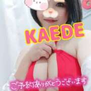 ヒメ日記 2025/09/27 09:19 投稿 かえで スイカ