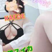 ヒメ日記 2025/10/03 14:37 投稿 かえで スイカ