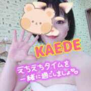 ヒメ日記 2025/10/03 22:27 投稿 かえで スイカ