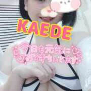 ヒメ日記 2025/10/04 10:26 投稿 かえで スイカ