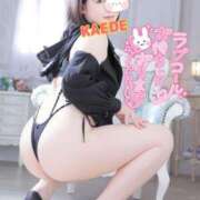 ヒメ日記 2025/10/04 10:56 投稿 かえで スイカ