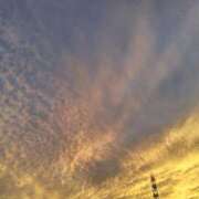 ヒメ日記 2025/10/08 20:09 投稿 かえで スイカ