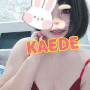 ヒメ日記 2025/10/10 21:45 投稿 かえで スイカ