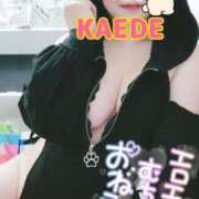 ヒメ日記 2025/10/13 13:47 投稿 かえで スイカ