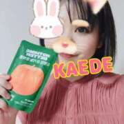 ヒメ日記 2025/10/18 18:25 投稿 かえで スイカ