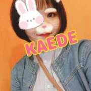 ヒメ日記 2025/10/19 15:11 投稿 かえで スイカ