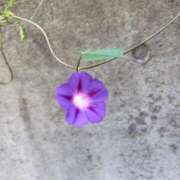 ヒメ日記 2025/10/23 18:34 投稿 かえで スイカ