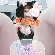 ヒメ日記 2025/10/24 17:47 投稿 かえで スイカ