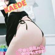 ヒメ日記 2025/10/25 09:13 投稿 かえで スイカ