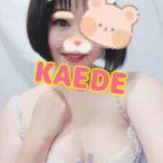 ヒメ日記 2025/10/25 12:58 投稿 かえで スイカ