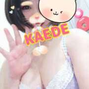 ヒメ日記 2025/10/30 23:02 投稿 かえで スイカ