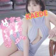 ヒメ日記 2025/11/01 09:54 投稿 かえで スイカ