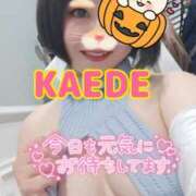 ヒメ日記 2025/11/01 12:56 投稿 かえで スイカ