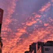 ヒメ日記 2025/11/03 10:23 投稿 かえで スイカ